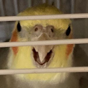 Meet your Posher, Austin